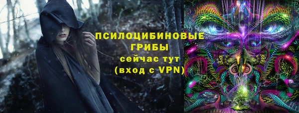 героин Алексин